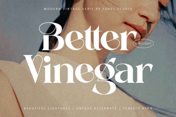 Better Vinegar Font for Web Design