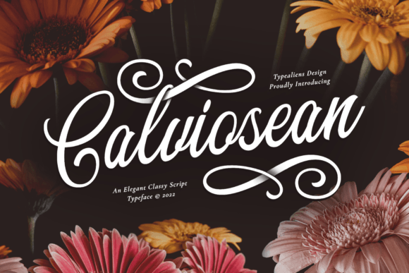 Calviosean: A Classic Script Font