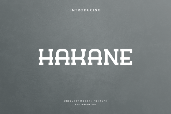 Hakane: A Vintage Serif Font for Business