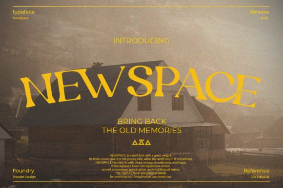 Newspace: A Bold Serif for Real-World Design