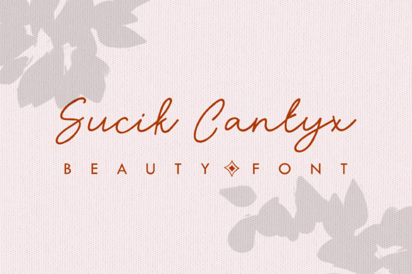 Sucik Cantyx: A Stylish Script Font